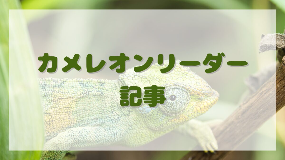 カメレオンリーダー
